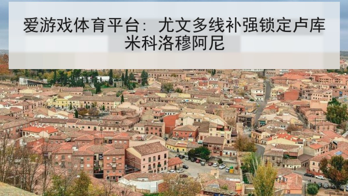 爱游戏体育平台: 尤文多线补强锁定卢库米科洛穆阿尼