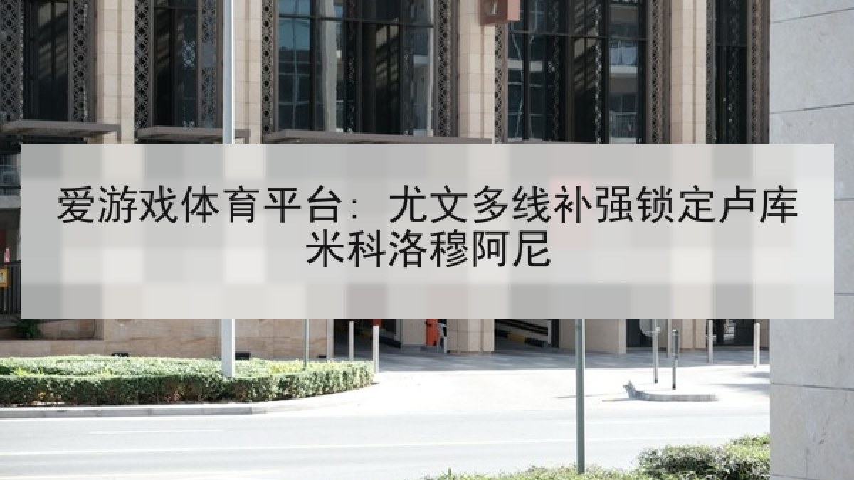 爱游戏体育平台: 尤文多线补强锁定卢库米科洛穆阿尼
